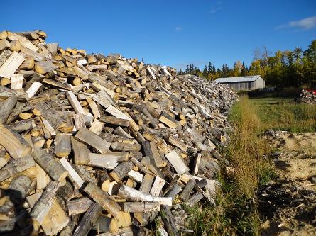 Stack of seasoned firewood Hythe Demmitt